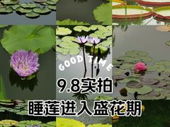 -国家植物园南园