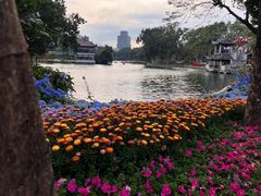 -荔湾湖公园
