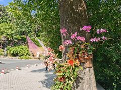 -广州市白云山风景名胜区
