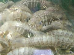-蓝珊甄选海鲜自助·火锅大排档(近阿那亚店)