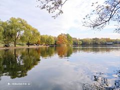 -上海共青森林公园