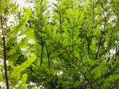 -南京工程学院(江宁校区)