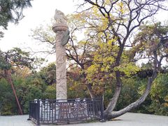 -北陵公园