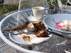 -Takapuna Beach Cafe