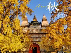 -北京石刻艺术博物馆(五塔寺)