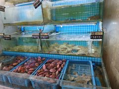 -老东镇啤酒屋海鲜加工·蒸汽海鲜·海鲜烧烤(台东店)