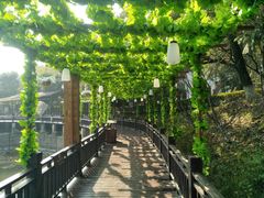 -石燕湖生态旅游景区