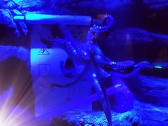 -沈阳海洋探索中心