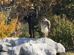-狼山风景名胜区