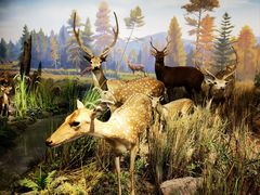 -陕西自然博物馆