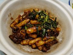-沪碟·精菜坊(闵行店)