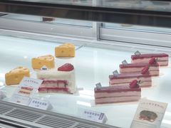 -TD66高山铁皮石斛养生茶饮