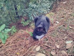 -敬亭山风景名胜区