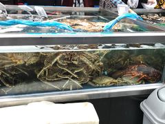 -盒马鲜生(大成店)