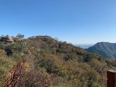 -大岭沟猕猴桃谷风景区
