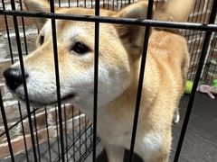 -呼吸沉浸式剧场(甘露园店)