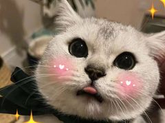 -沐沐家宠物(成寿寺店)