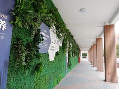 -南京外国语学校(仙林分校西区)