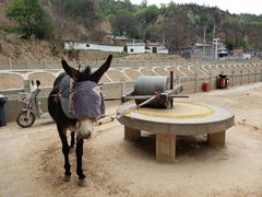 -梁家河村红色旅游区