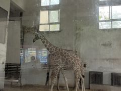 -重庆动物园·东二门售票处