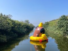 -黄海国家森林公园