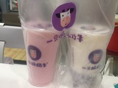-一只酸奶牛(双流万达广场店)
