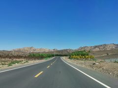 -新疆天山野生动物园