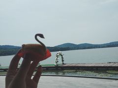 -水上明月·湖景餐厅