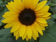 -桤木河湿地公园