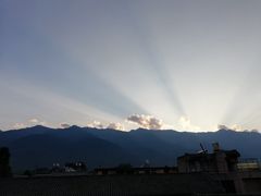 -喵屿·大理花园猫咖