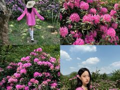 -名花谷生态庄园