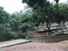 -满記土窑烧鷄波浪山莊