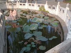-丰台花园