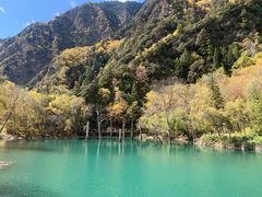 -叠溪松坪沟景区