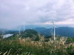 -东白山
