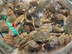 -海天盛宴潮汕蒸汽海鲜高端自助形象店