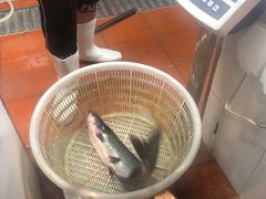 -鱼酷活鱼烤鱼(梅江印象城店)