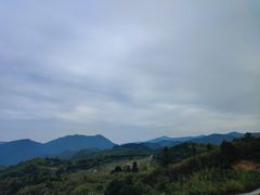 -江南天池