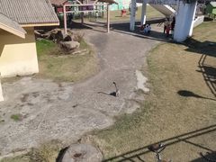 -无锡动物园·太湖欢乐园