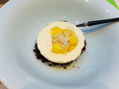 -诺莱仕游艇会