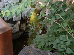 -李叔同故居纪念馆