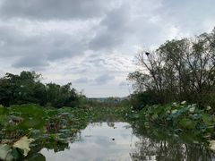 -木守西溪溪隐餐厅