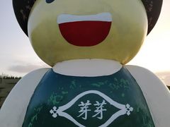 -上海都市菜园