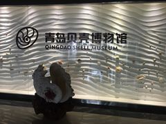 -青岛贝壳博物馆