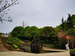-南山植物园