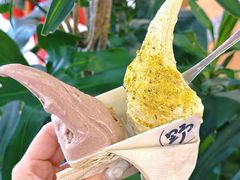 -野人先生Gelato(上海长宁龙之梦店)