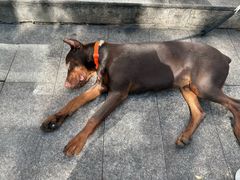 -嘻哈壹笑堂相声茶馆(大儒巷店)