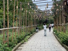 -高荡千年布依古寨旅游景区