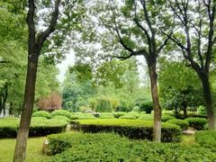 -中南财经政法大学(首义校区)