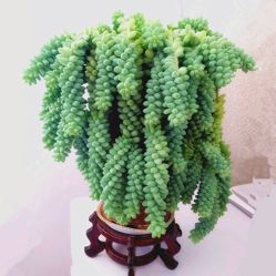 -Oasis Beauty水磨坊科技美肤中心